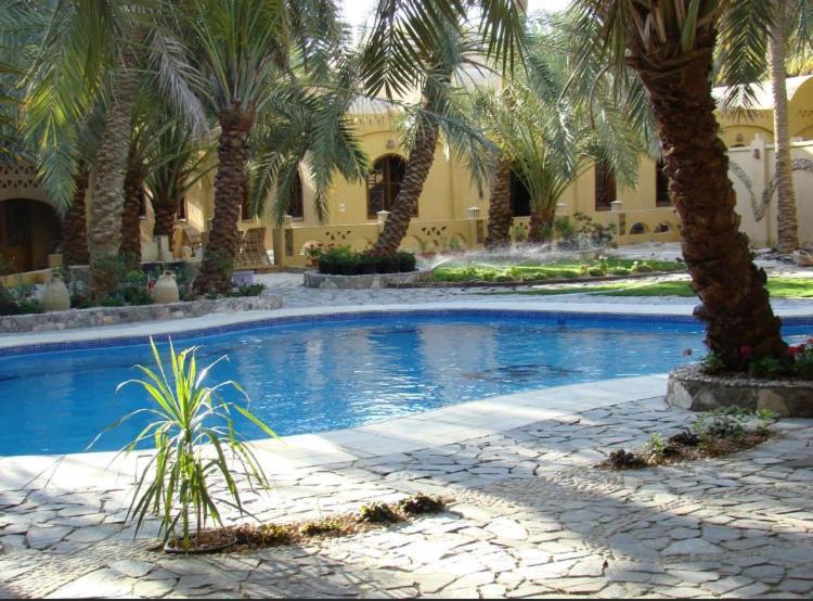 Siwa Paradise Siwa Oasis Extérieur photo