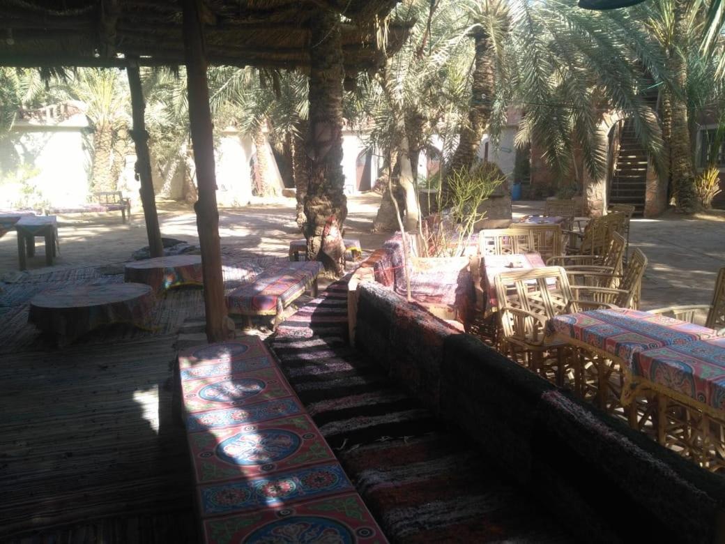Siwa Paradise Siwa Oasis Extérieur photo