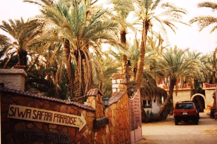 Siwa Paradise Siwa Oasis Extérieur photo