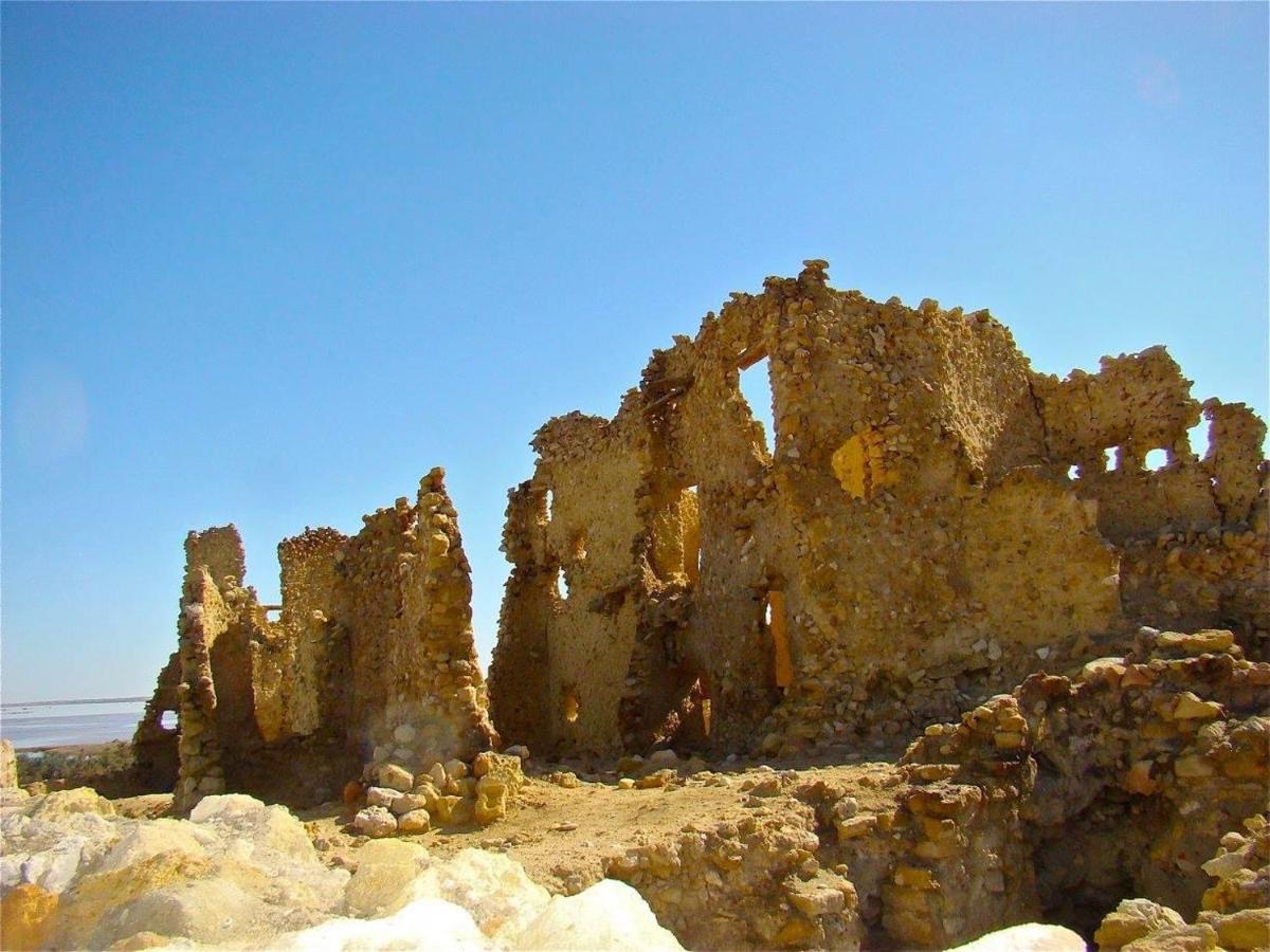 Siwa Paradise Siwa Oasis Extérieur photo