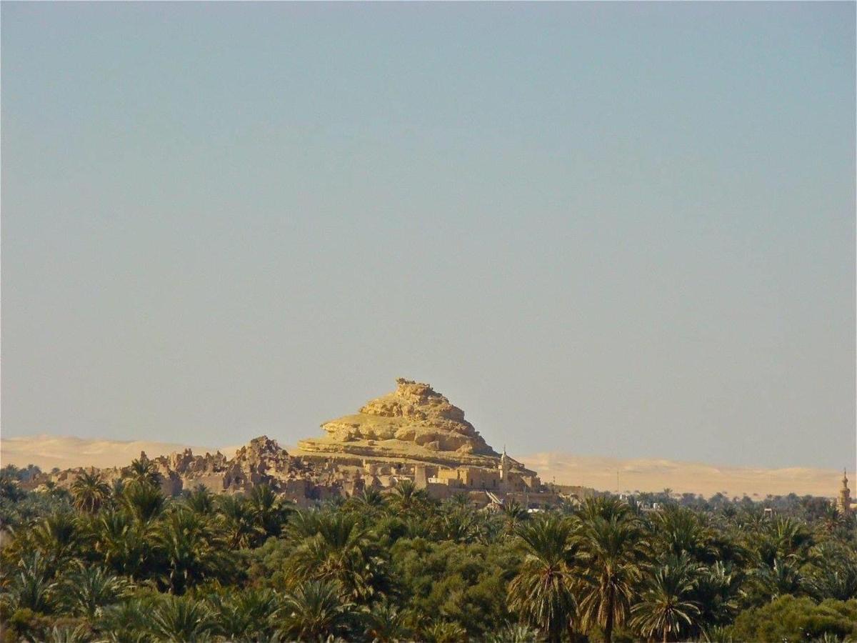 Siwa Paradise Siwa Oasis Extérieur photo
