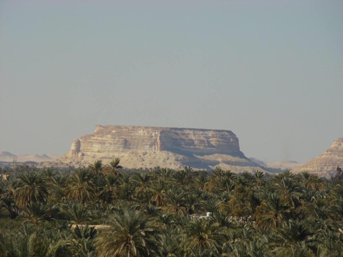 Siwa Paradise Siwa Oasis Extérieur photo